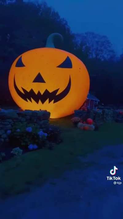 🎃🎃🎃🎃🎃