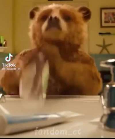 Classic bear guy