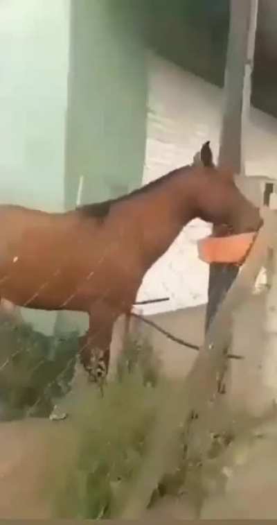 👉👈