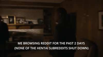 Reddit Moment