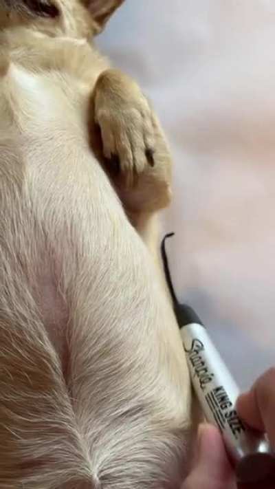 Lifelike..