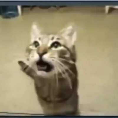 mrow