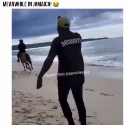 Only in Jamaica 😭😂