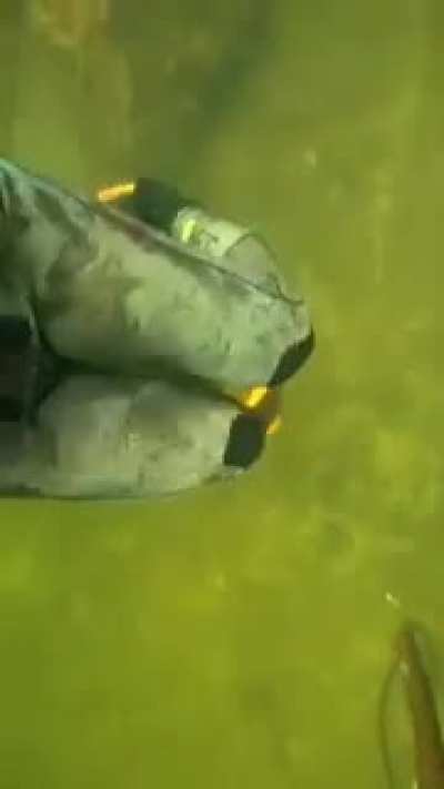 Encounter with strange worm creature