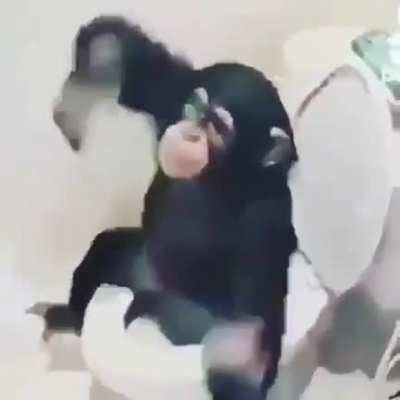 Monke