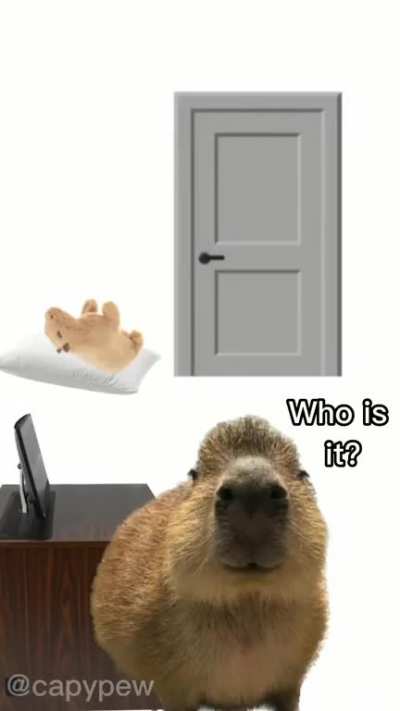 OOGA BOOGA