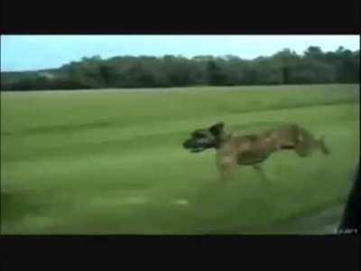 Try not to laugh (super funny) epic challenge 2014
