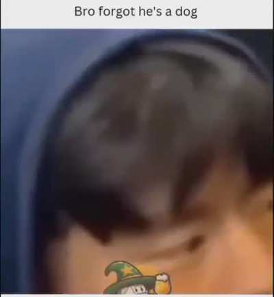 He is a dog