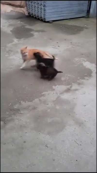 I don't need your permission to be your friend.