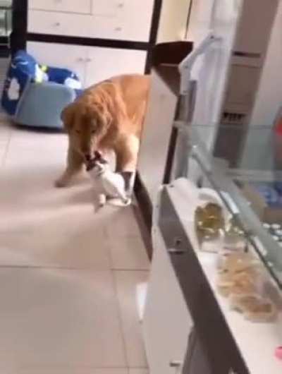 Why?