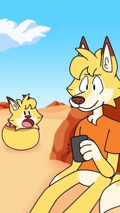 what_irl