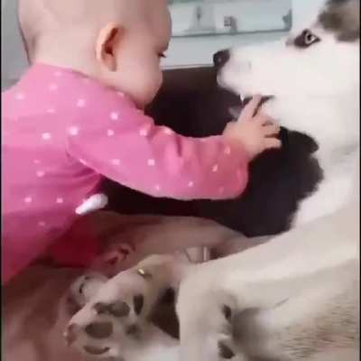 Пушис<wbr>тый нянь