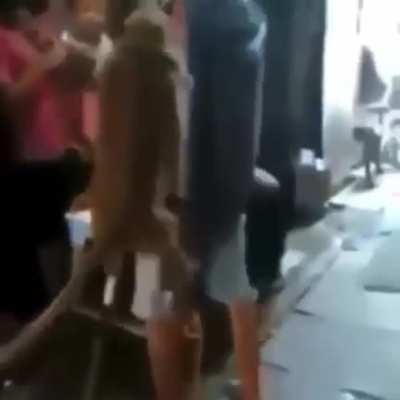 Monke