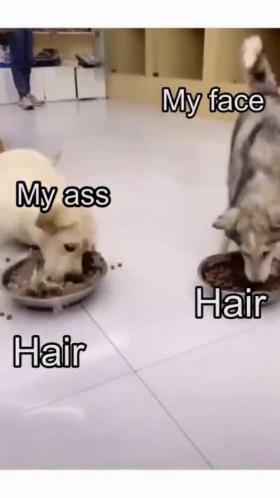 Nothing but shame