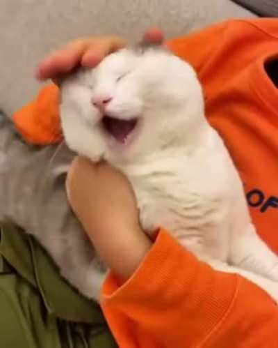 Каааайф