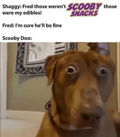scooby dooby wunk