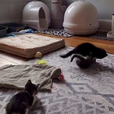 Sister startles brother, resulting in combat maneuvers