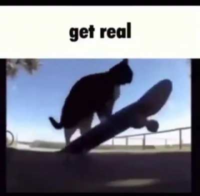 shitposting - Video #6879