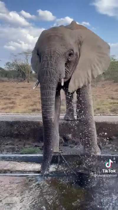 Gotta stay hydrated