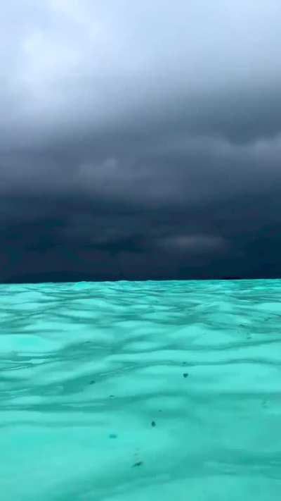 Not sure if beautiful or scary.