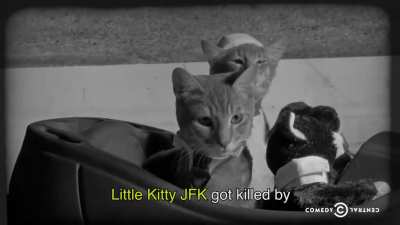 Cute video of kittens replaying USA history