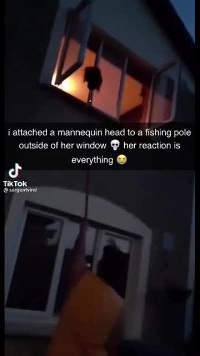 mannequin