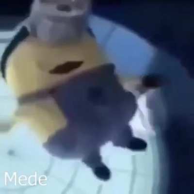 ZargoryanGalaksisi - Video #6739