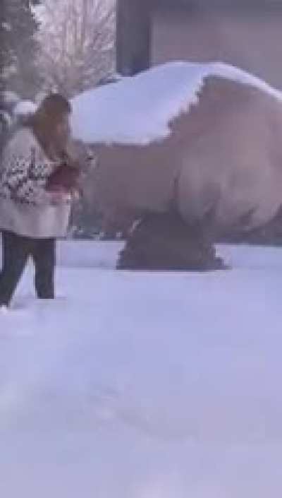 Stupid Santa!