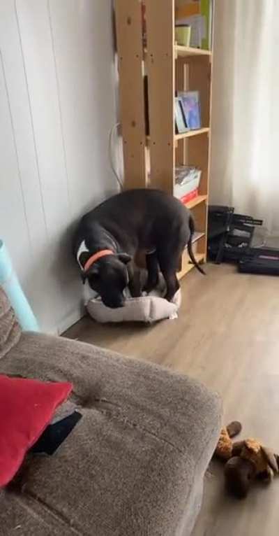 The look on his face at the end...