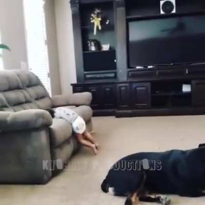 um video triste da guerra dos pudins