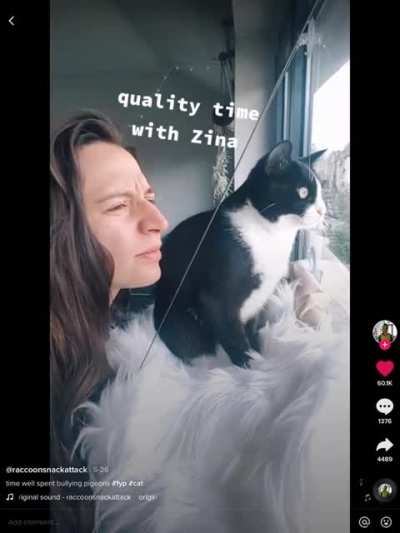 Talking shit to the pigeons