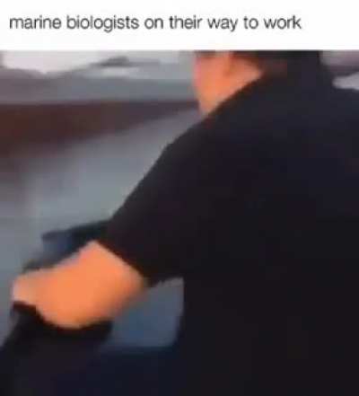 s p l a s h