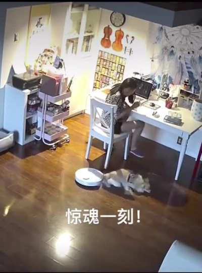 Dog nearly gets eaten
