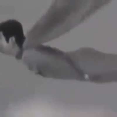 Why does Superman flies with one hand in front?