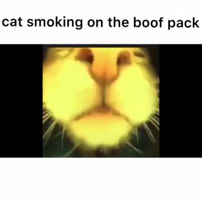 Don’t invest in Boof 🌱