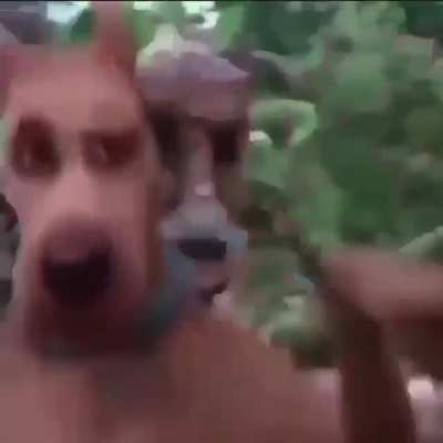 Scooby-doo