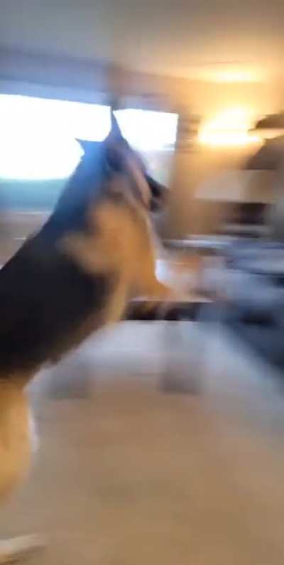 Hurry up! The commercials are ending!