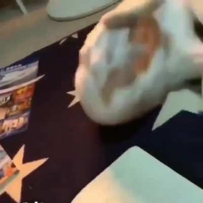 self kicking master
