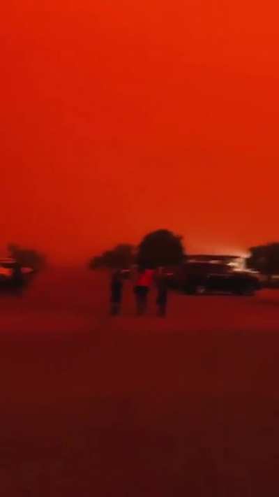 An Emission is approaching, run for cover, stay safe #stalker
