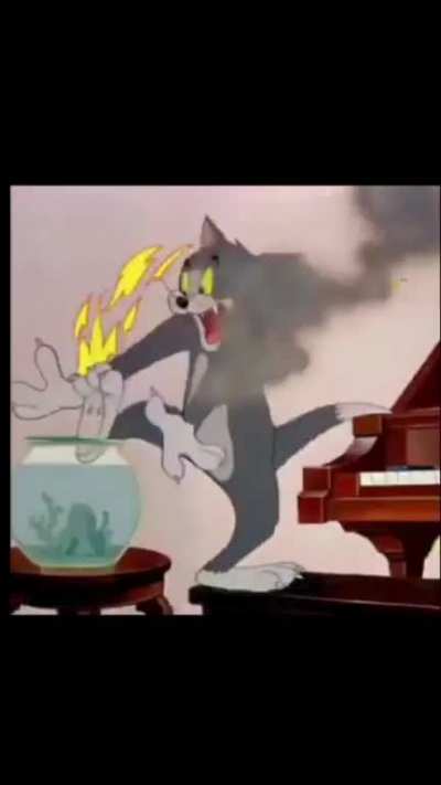 RAWRRRR