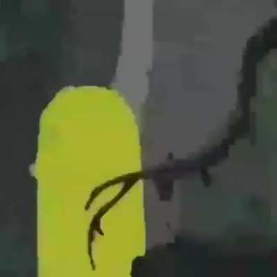 no jake!!