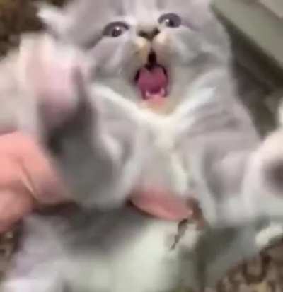 He is not happy