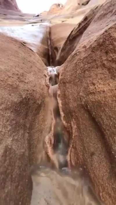 Nature is lit🔥