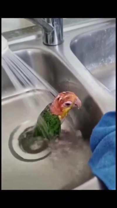 The consequences of his actions