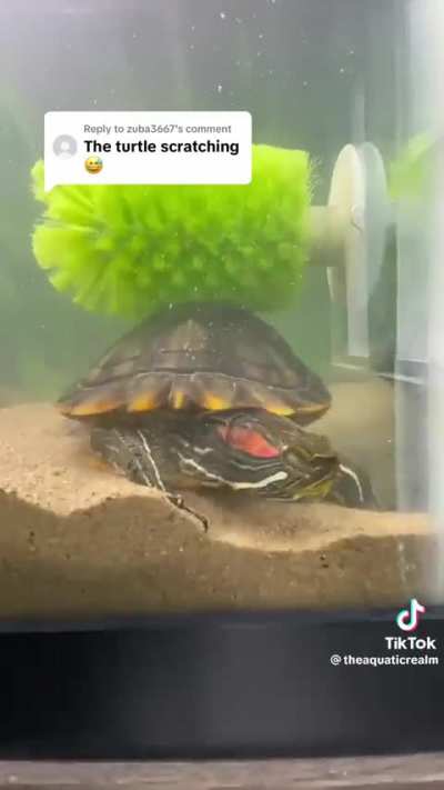 Hope they love this clip as much as I did ð¢
