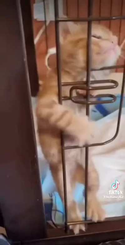 Jail