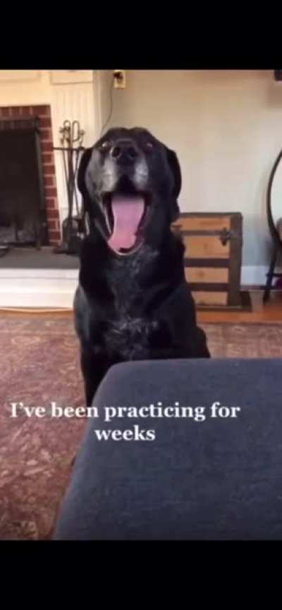 « Singer » boi