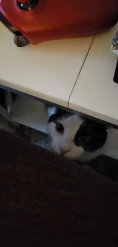 kEemY