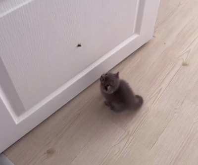 Smol Hunter