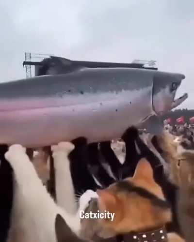 Uuuuoou